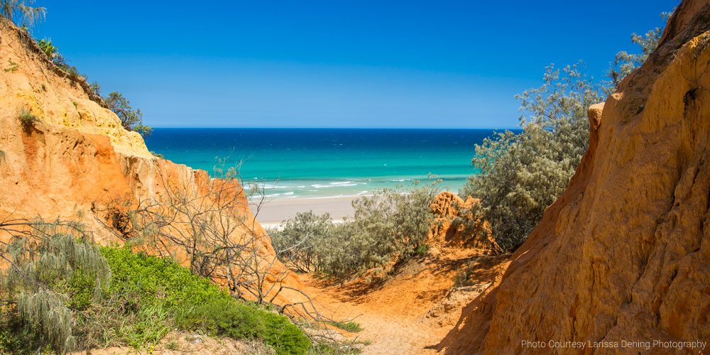 Great Beach Drive - Noosa 4wd Tours